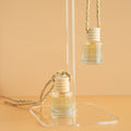 Autumn Warmth - Hanging Diffuser